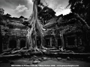 Ta Prohm