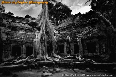 Ta Prohm