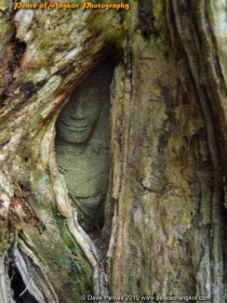 Ta Prohm Deity