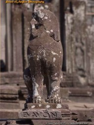 Bayon Lion